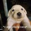 herreritaaortizz