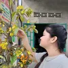 thnguyn7283