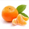 giga.mandarin