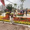 quynquynlinh