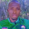 bilmikel41