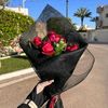 user6109375715949