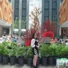quynhhuong6871