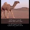 user80871823153