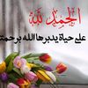 user329426878