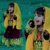 shaeen818