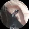 ln._0k