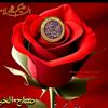 sairazulfiqar31