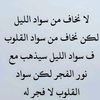 user5440603101566
