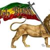 zaka45329gmail.com4