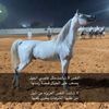 nourah123_4