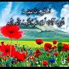 user8105290424255