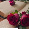 miss_mira00132