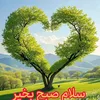 mahmod.mehri