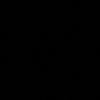 kamilaydinli3