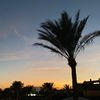 joshquinlan_088