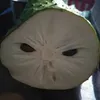 aryartue