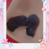 .heidiyamilet