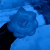 vyxx_4shh