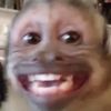 badbunni44