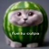 fuetuculpa166511