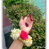 user612576170358258
