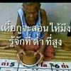 ifusername.12