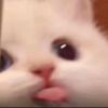 nyokimochi2
