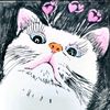 meow47112