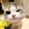 lyya._64