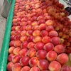 ajmal9710