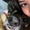 queli.imp_orta