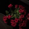 halimaibrahim507