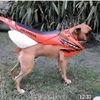 apiwmanis