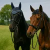 zwei.spinner_und_vicky
