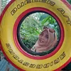 semaugue999
