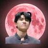 bluejay.moon_494
