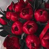 suzanna12345