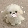 _pha_chi_yeon_