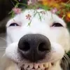 iammoisu_12