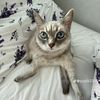 vlada_love03