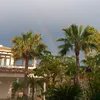 el_frances_____