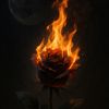 shattered_nocturne