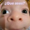 la.javi.1234567891
