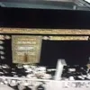 habibaelmalem