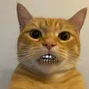usernumberzo_