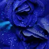 user6805019603961