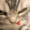 confusedtakaiwaa
