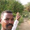 user61600729937792