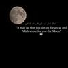 moonlightx009